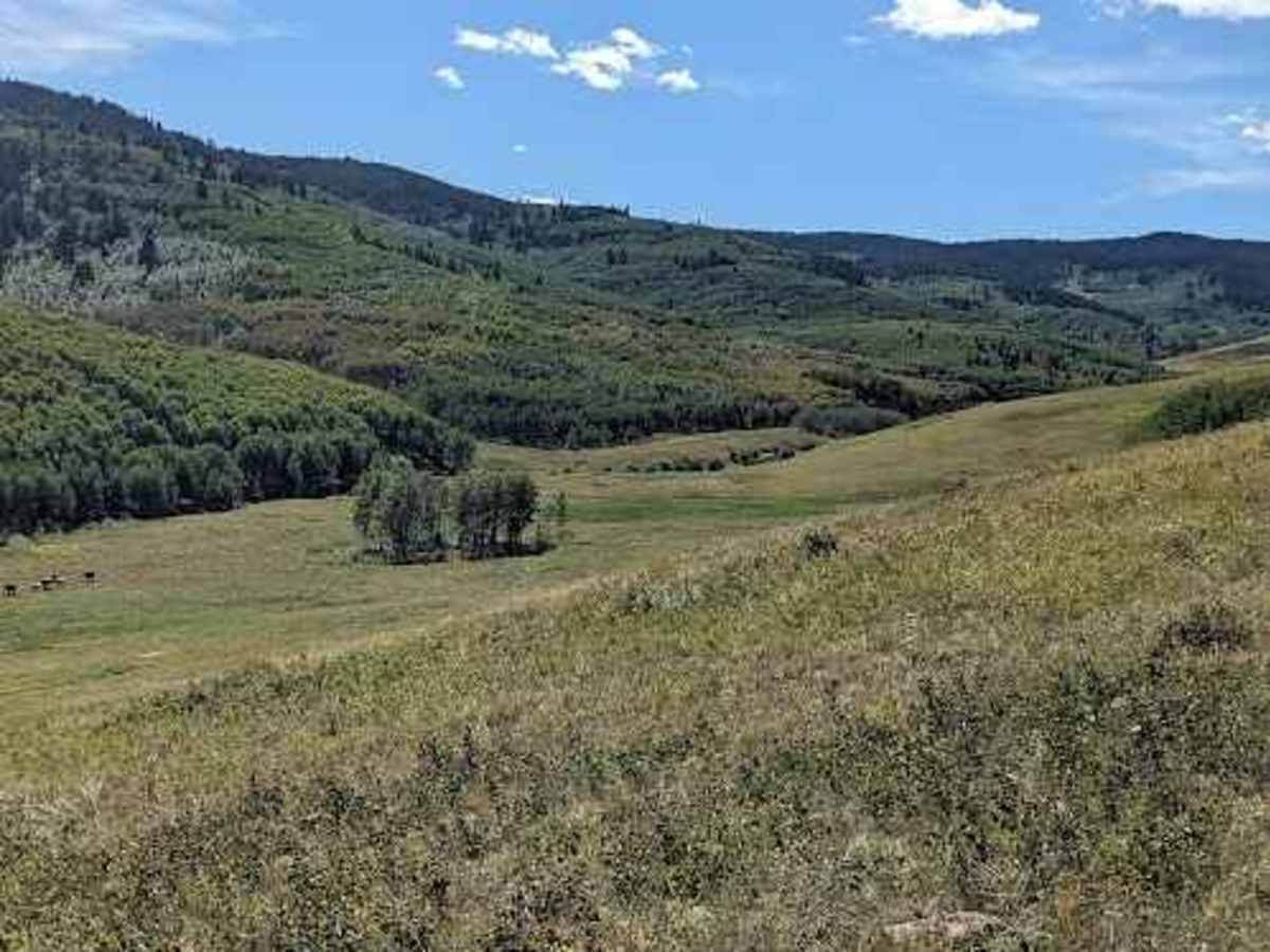 Porcupine Hills Trail 44  photo 6