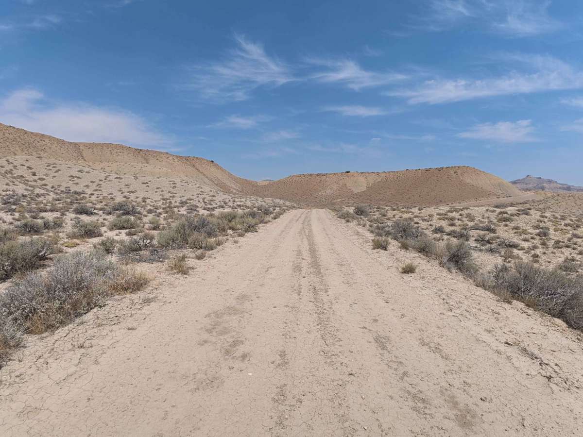 BLM 117 photo 6