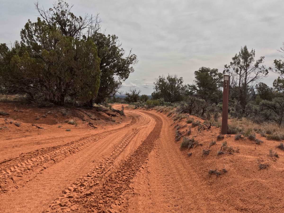 BLM 64J photo 5