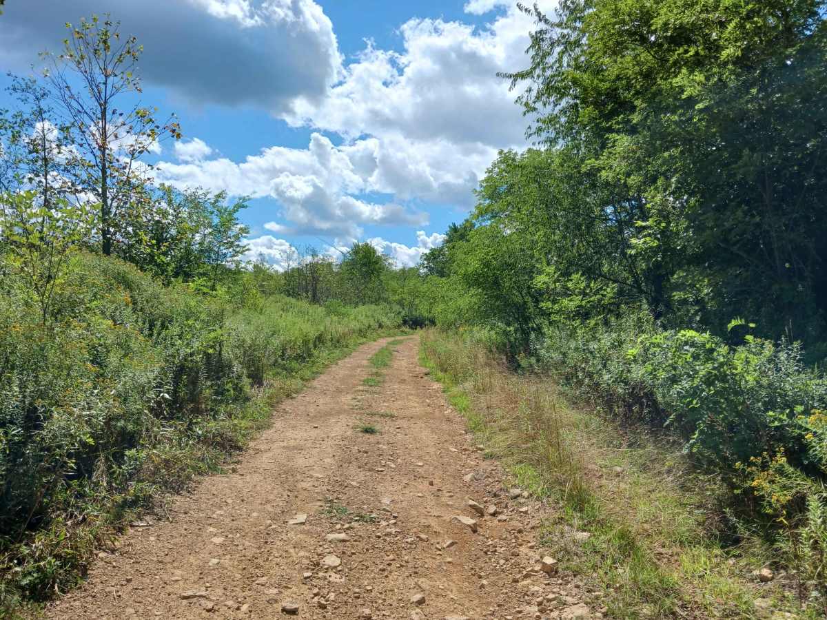 Valley View - Rock Run Recreation Area trail photo