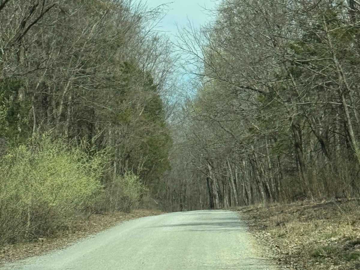 Burden Falls Road trail photo