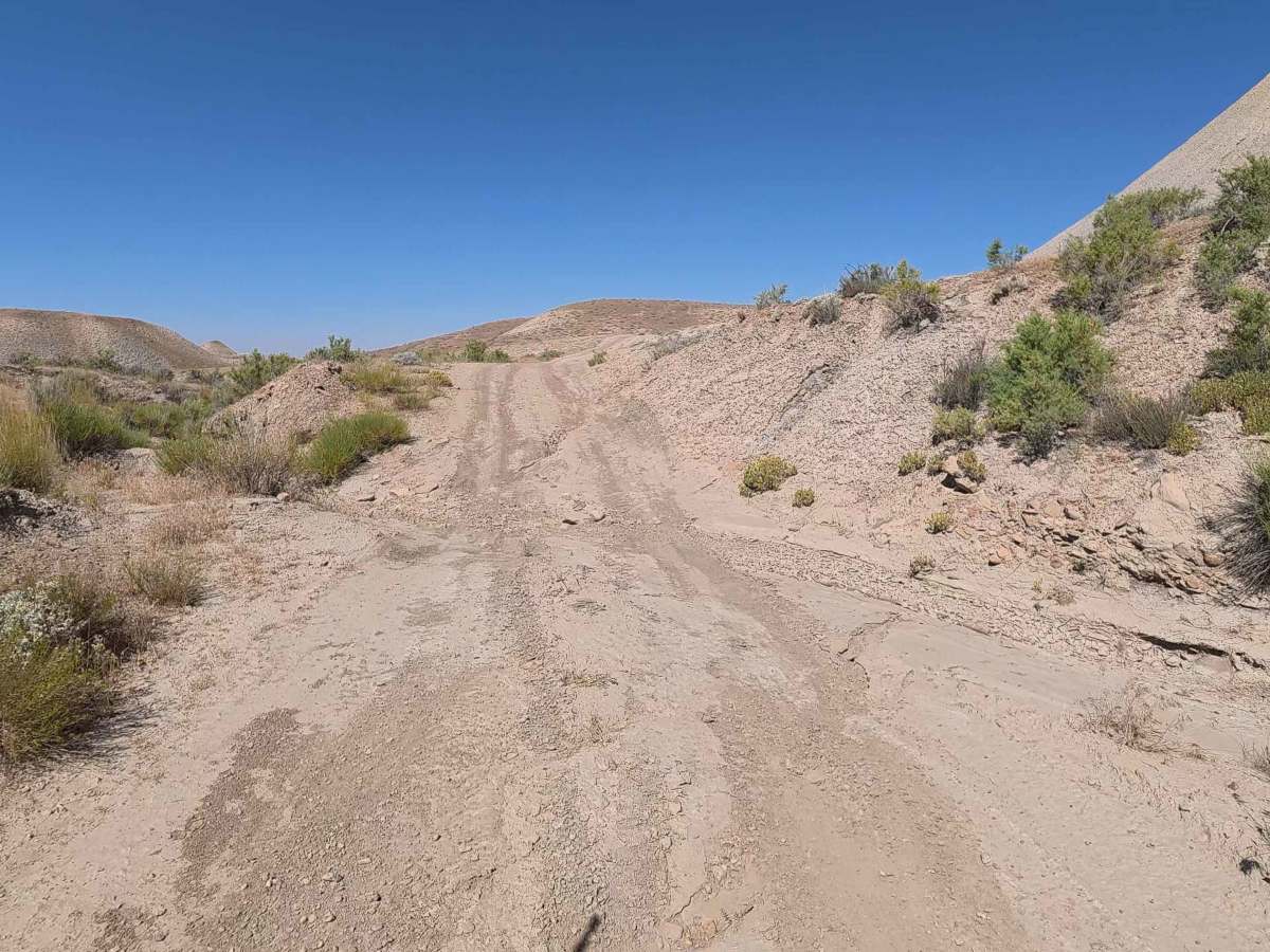 BLM 194 photo 3