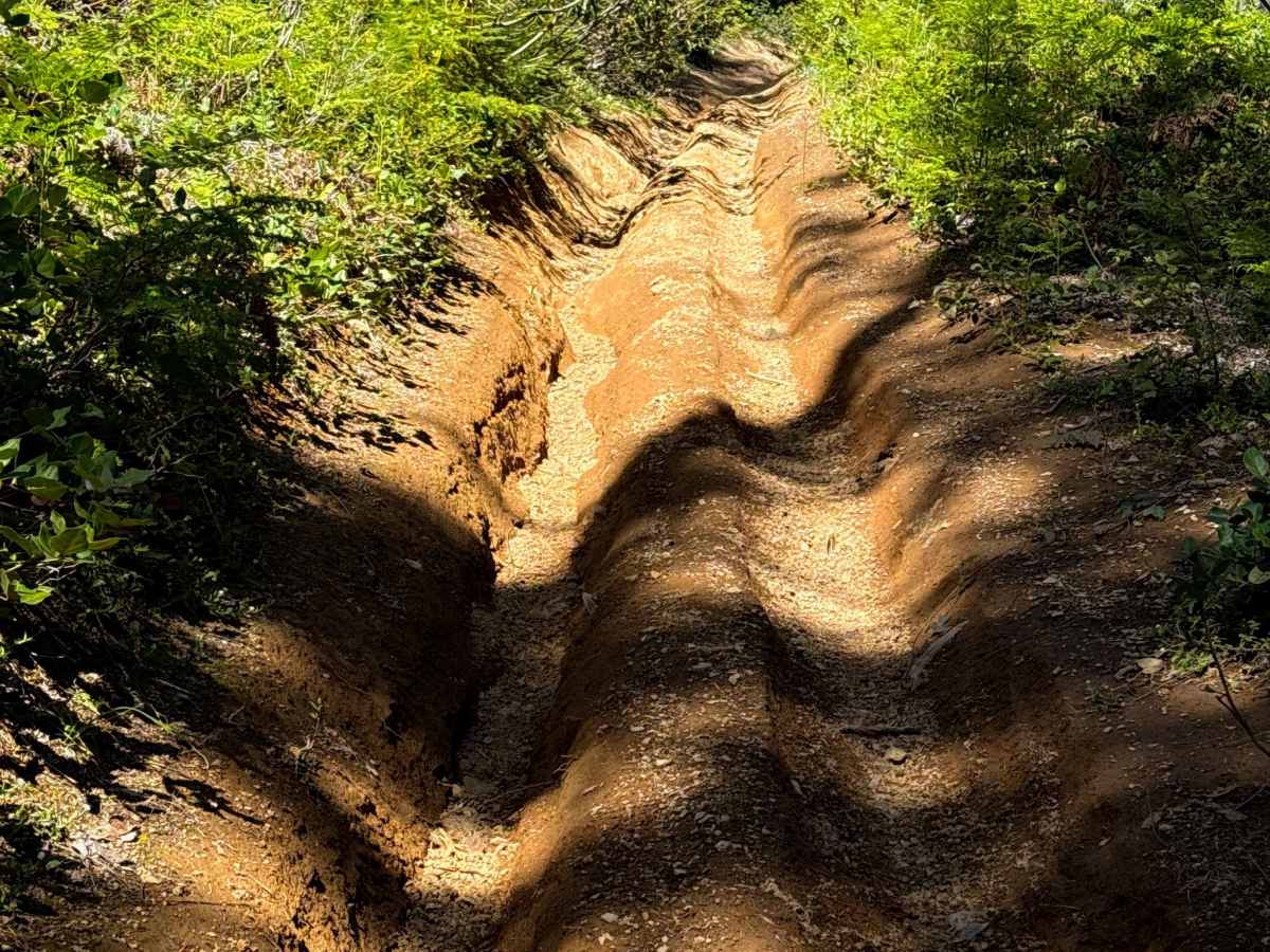 108A trail photo