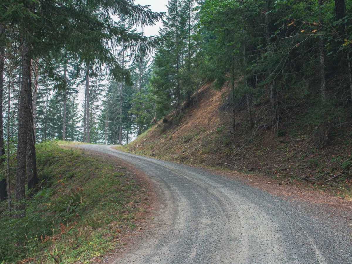 Trapper Creek photo 4