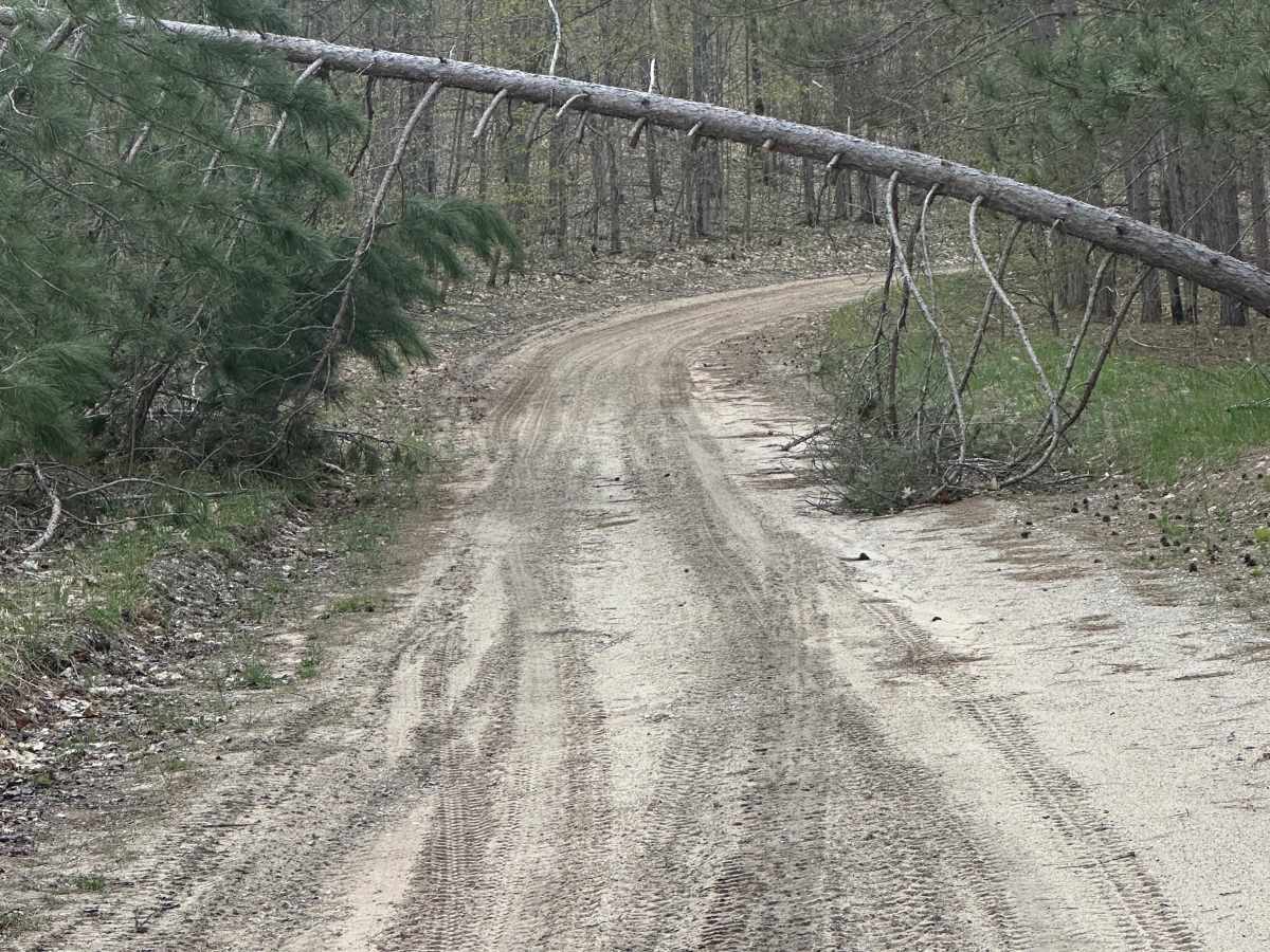 North Squaw Lake NE photo 6