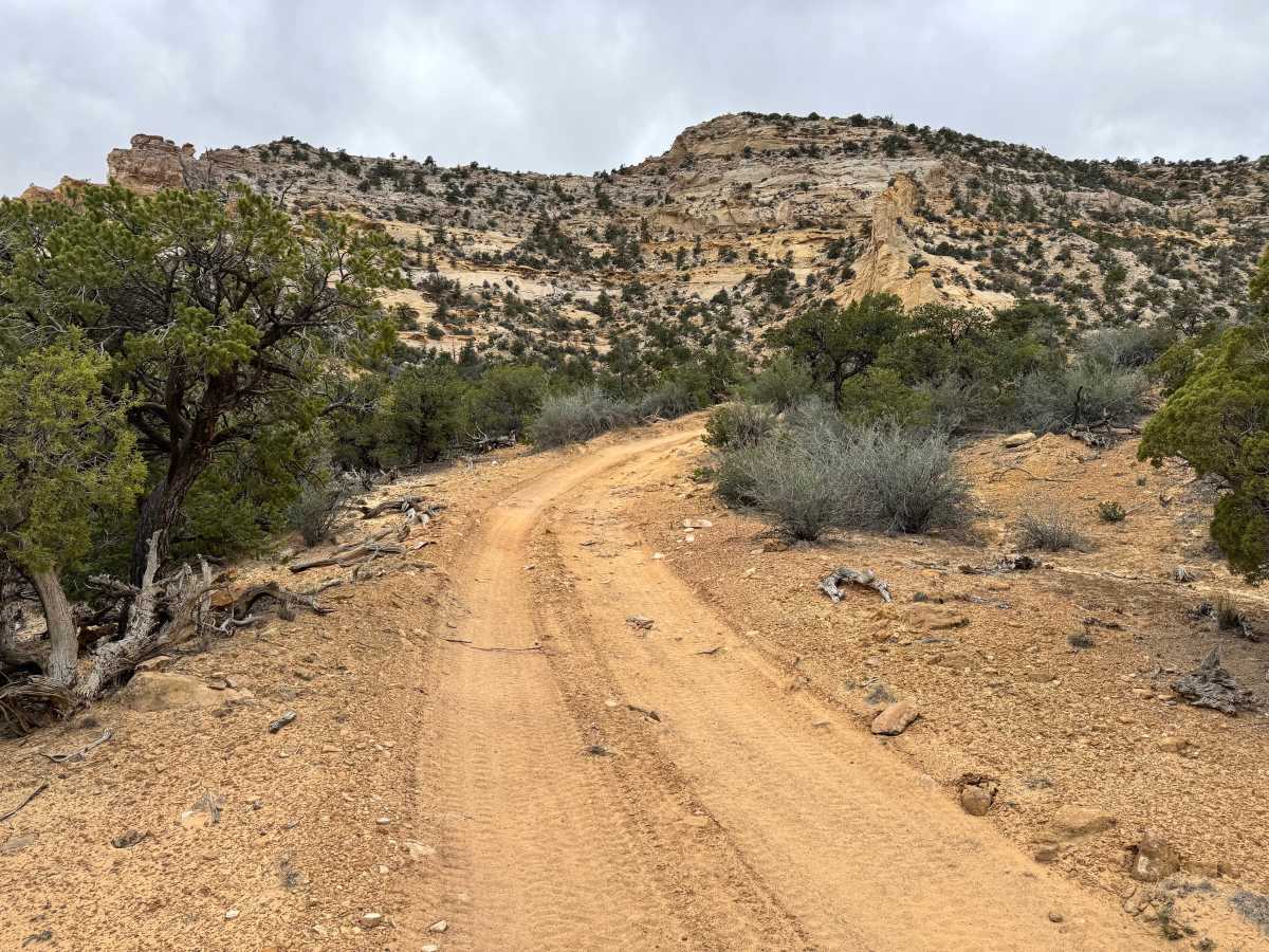 Upper Eagle Canyon Trail - BLM 822 photo 4