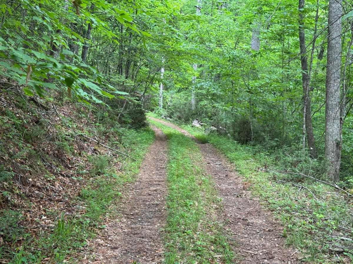 Headtown Creek - FS 656 photo 4