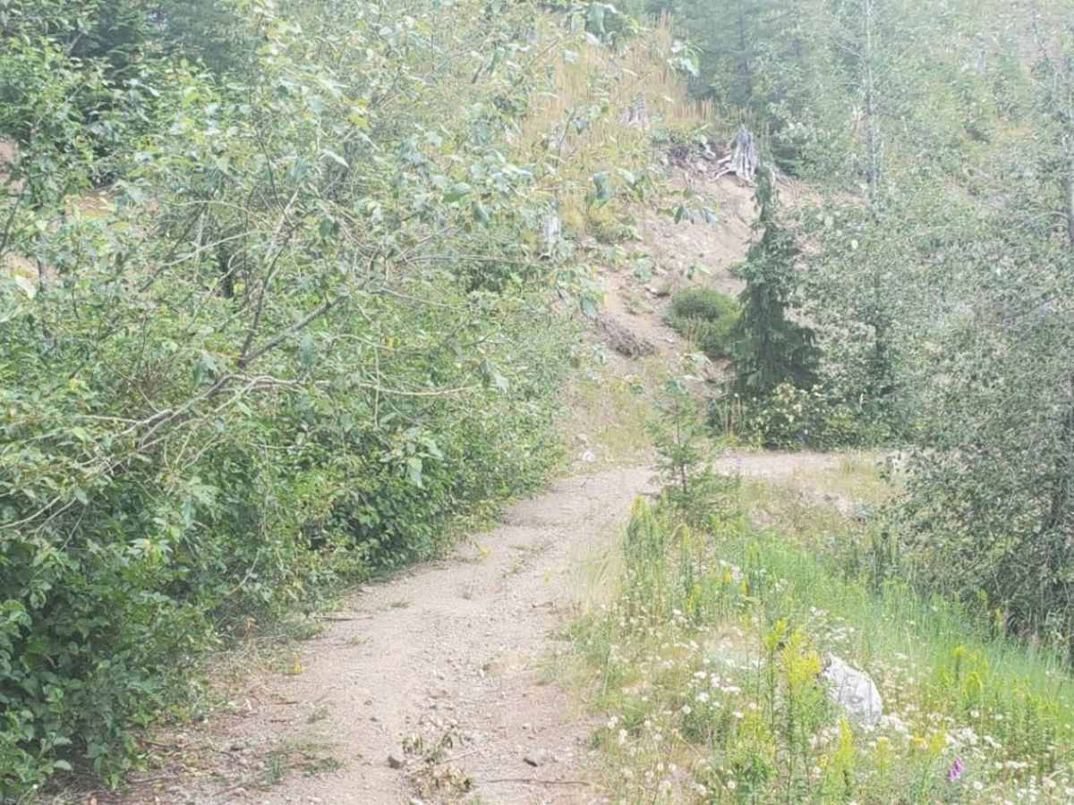 Trail to Roll Cage Landslide Canyon photo 4