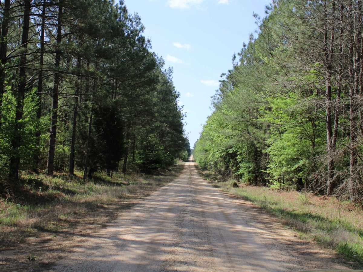 The Arkansas Overland Route - TrailHawk Loop - Section 15 photo 6