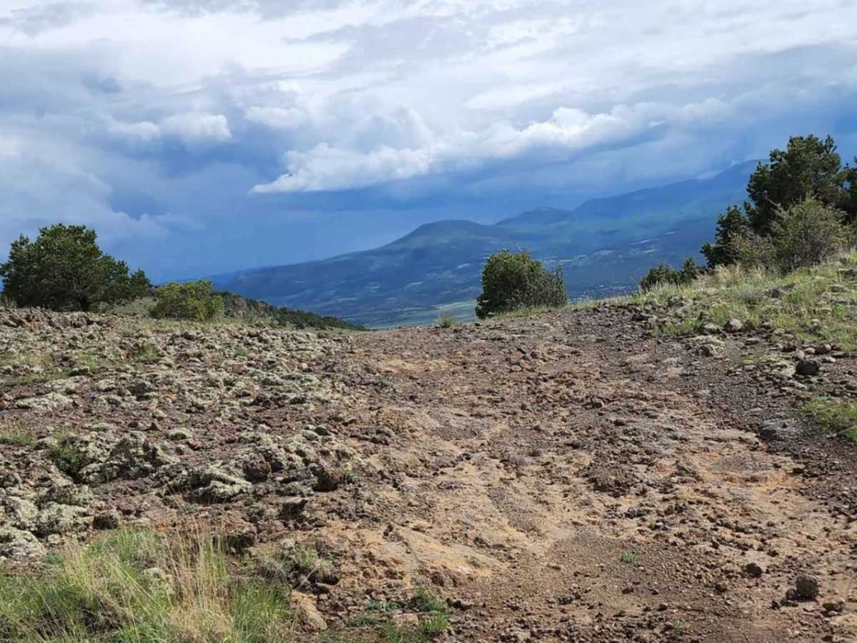 Pinon photo 3