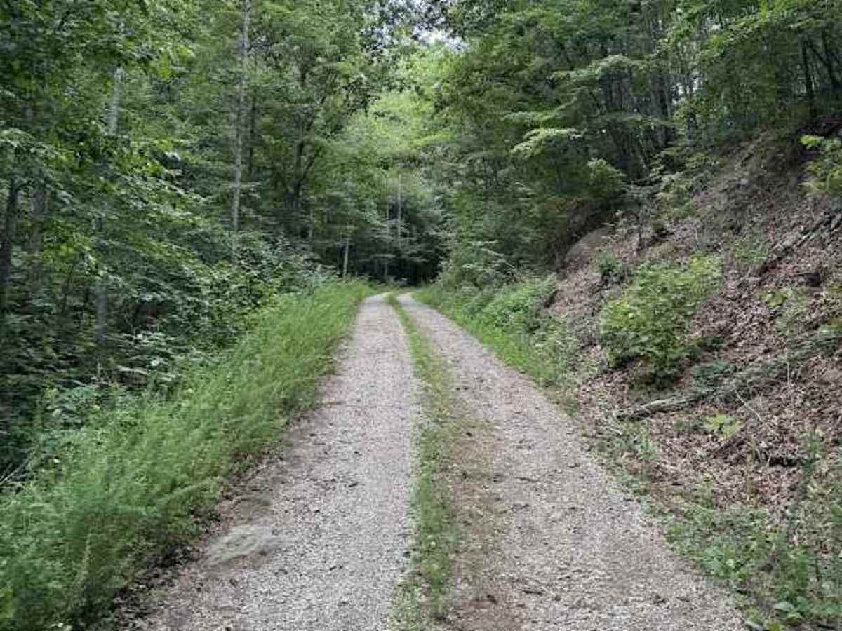 Cedar Bridge Hollow photo 2