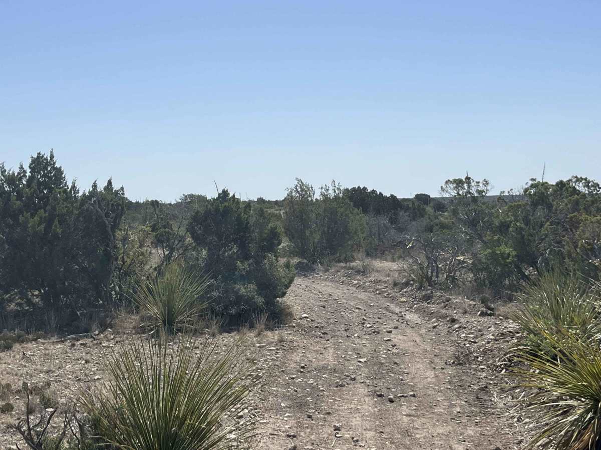 Kiddie Loop trail photo