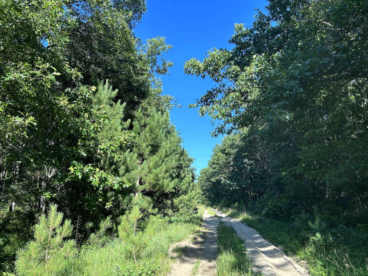 Bell Mound Trail trail photo