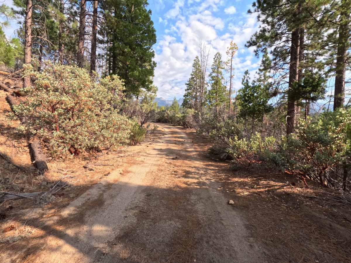 Kaiser Creek - FS 6S027 photo 3