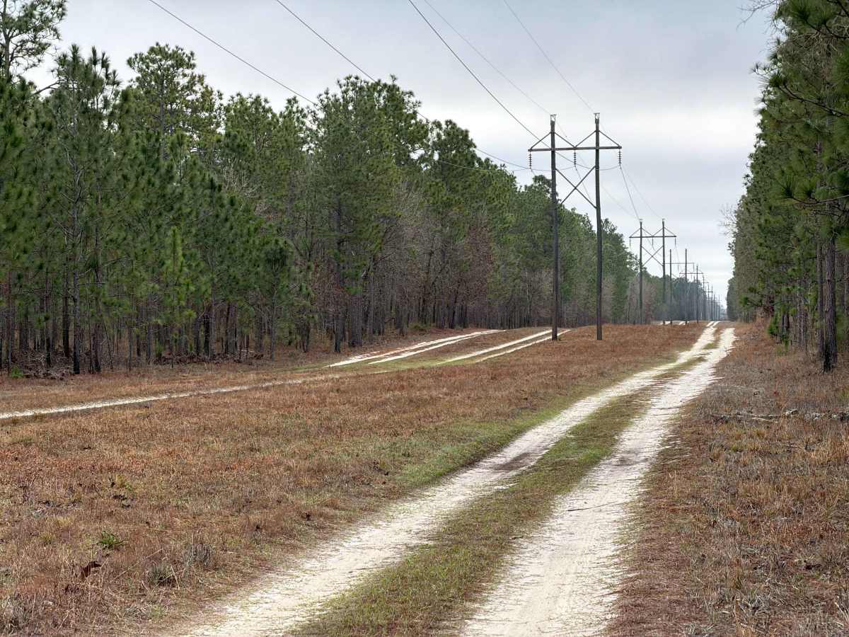 Powerline East - FS 300-C photo 2