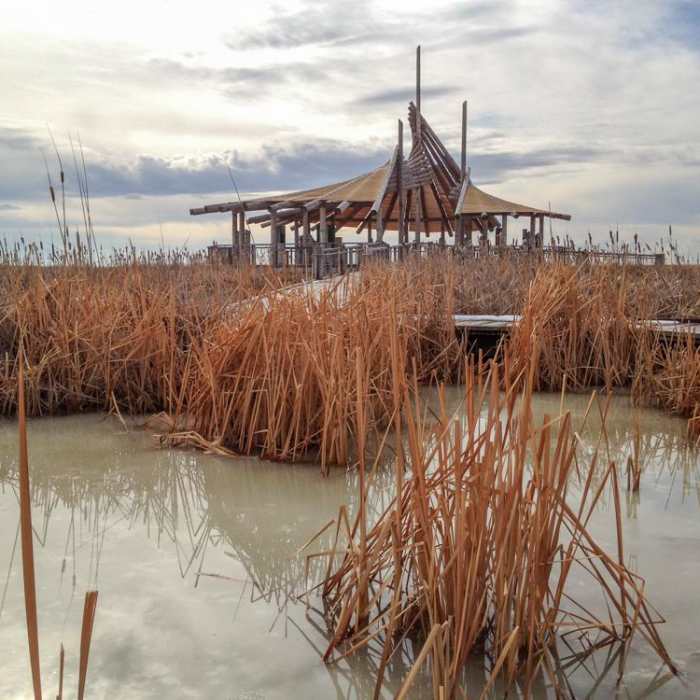 Near Great Salt Lake Shorelands Preserve Boardwalk