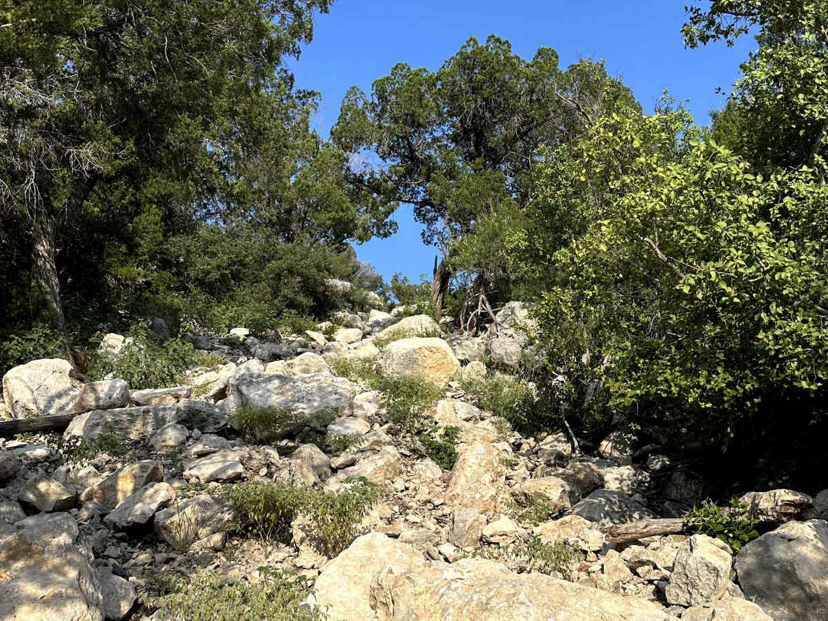 Two Mules - V15 photo 4