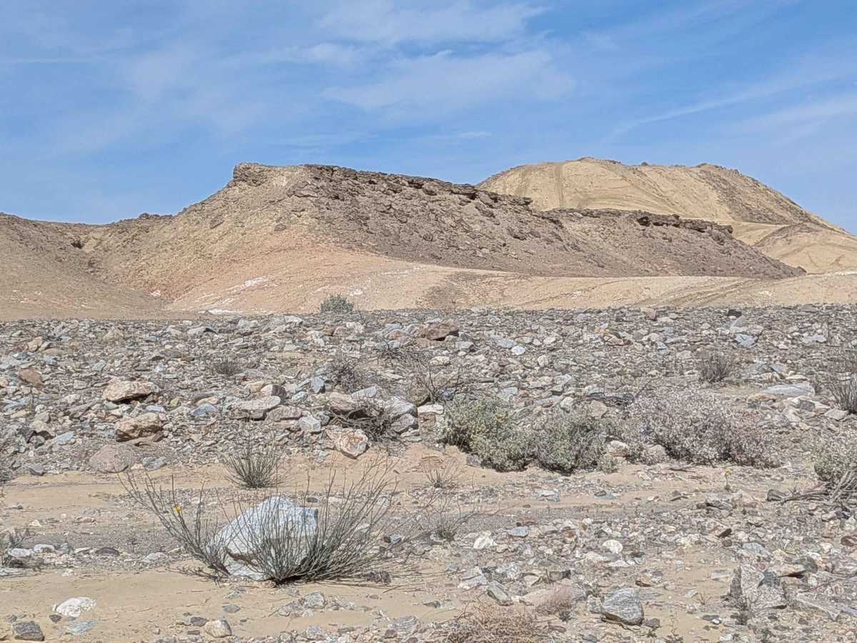BLM 220 photo 6