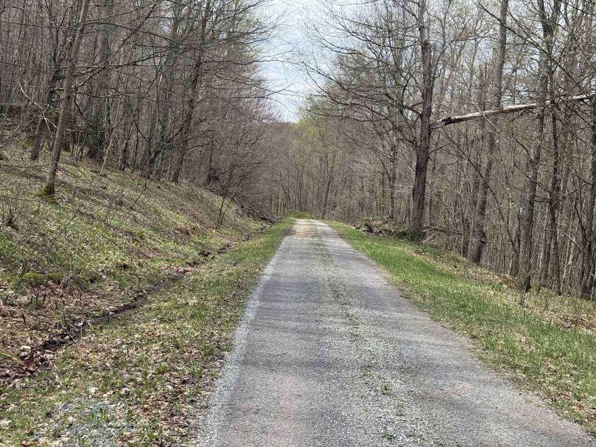 East Bucklick - FS 435 photo 3