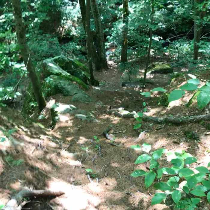 Near Blue/White Dot Trail