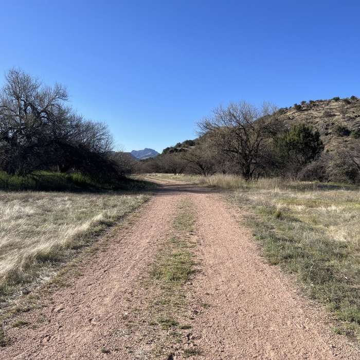 Near Bull Basin Loop