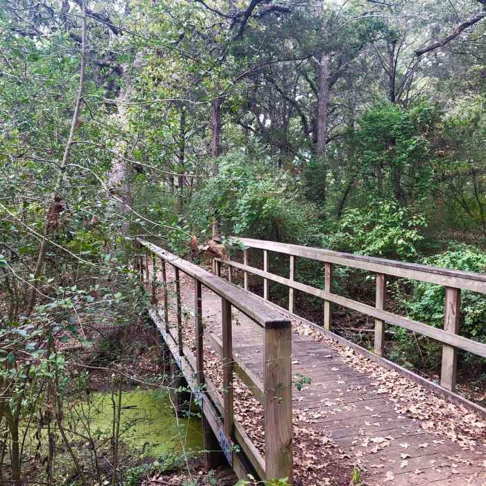 Bridge on the North South Trail Near North South Trailway