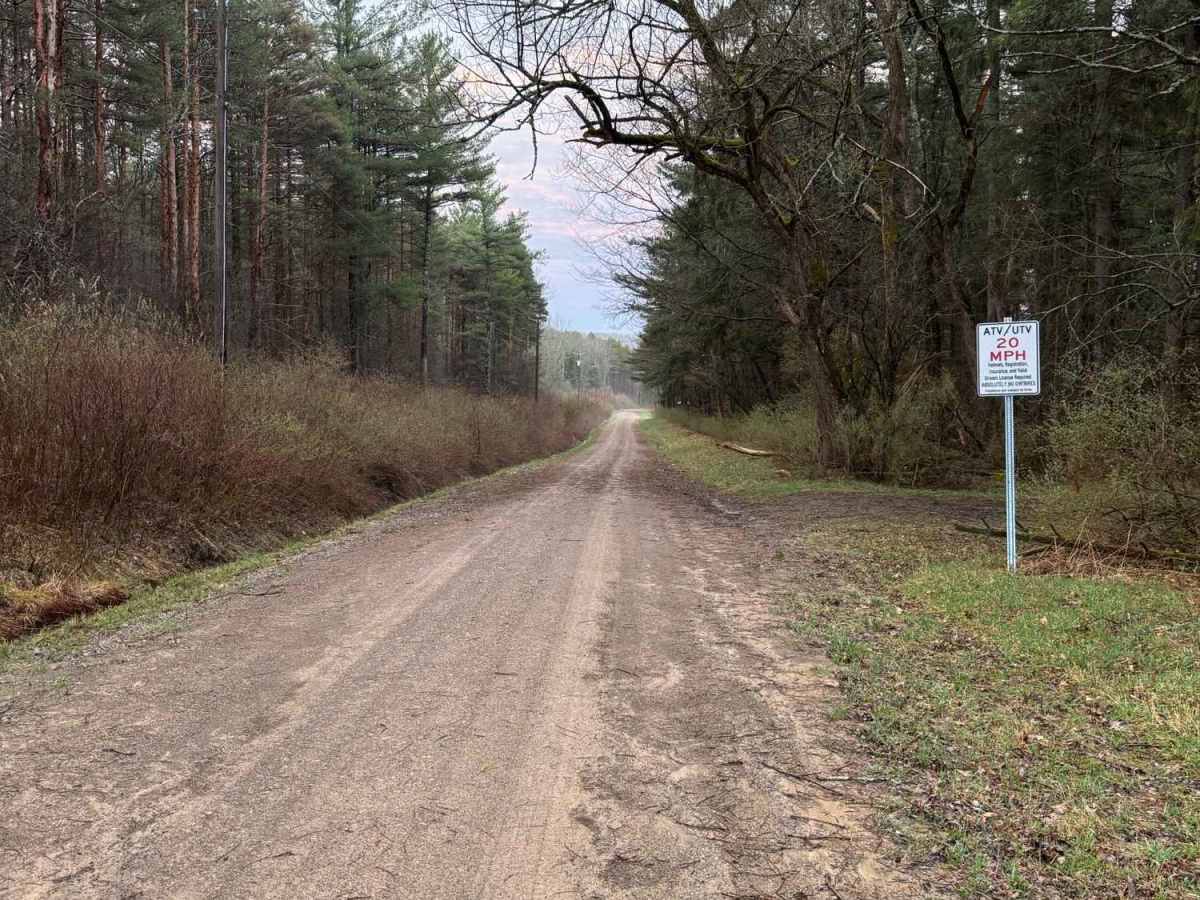 Tuttle Road photo 3