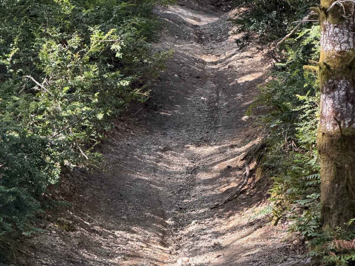 Overland Trail East photo 5
