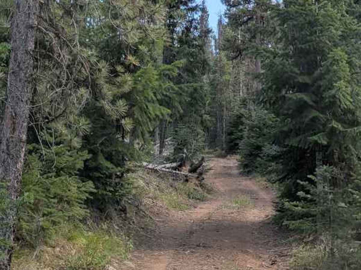 FS 3500-221 trail photo