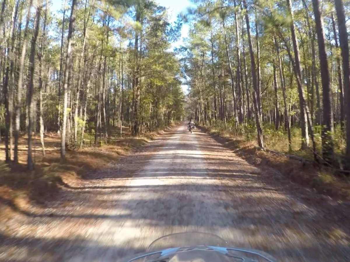 South Carolina Adventure Route Segment 5 photo 4