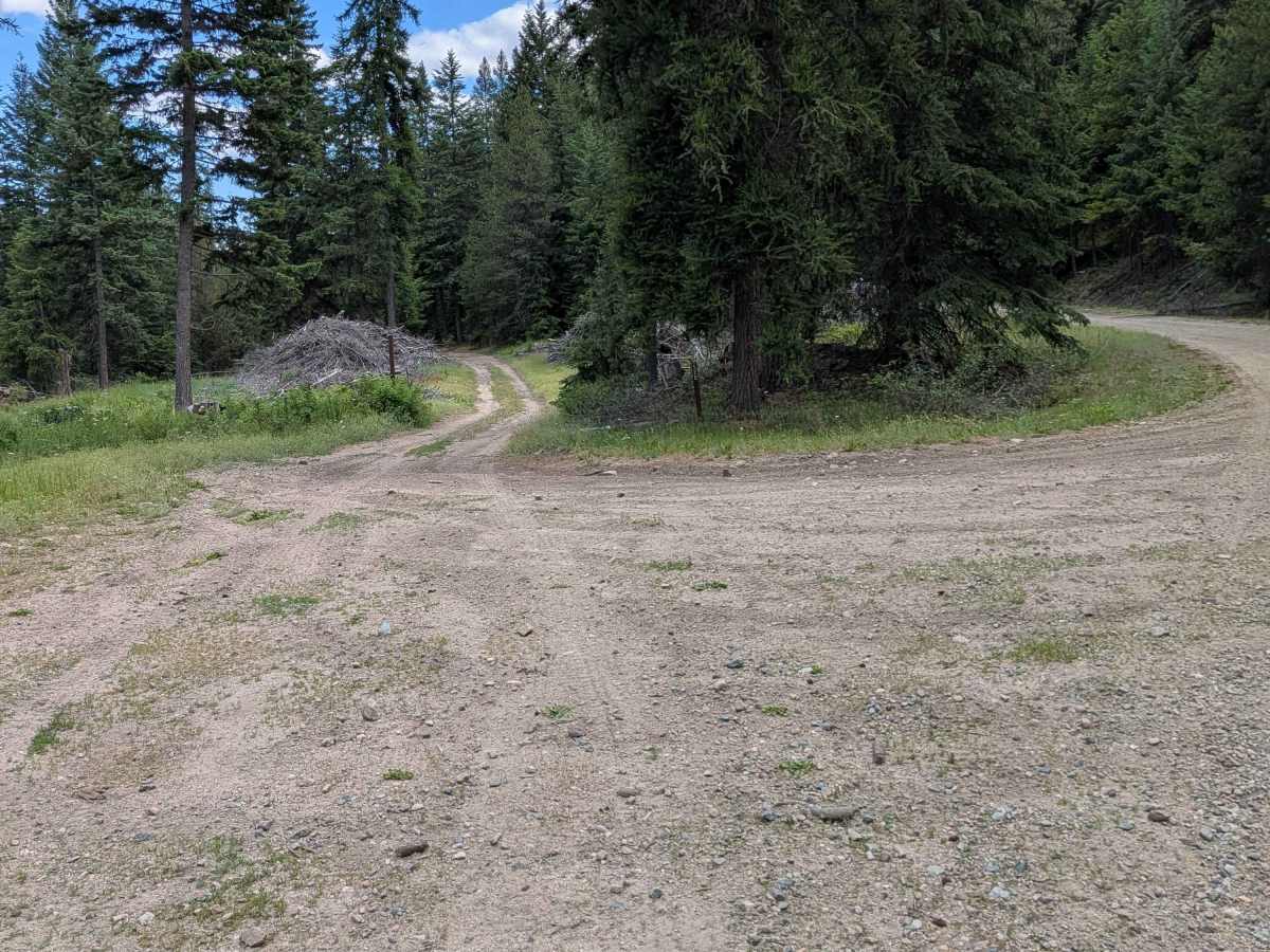 Mineral Hill Road - FS 3700-520 photo 2