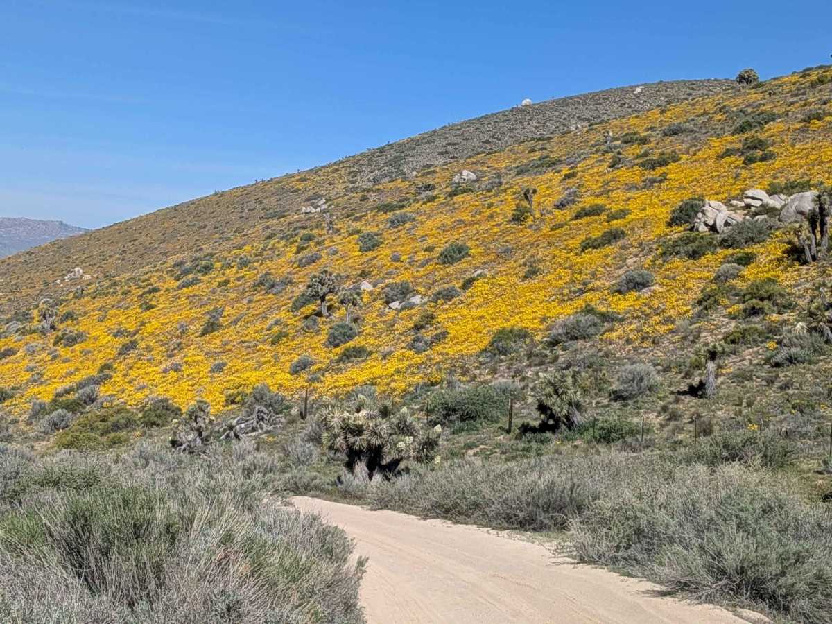 Dove Springs Canyon photo 4