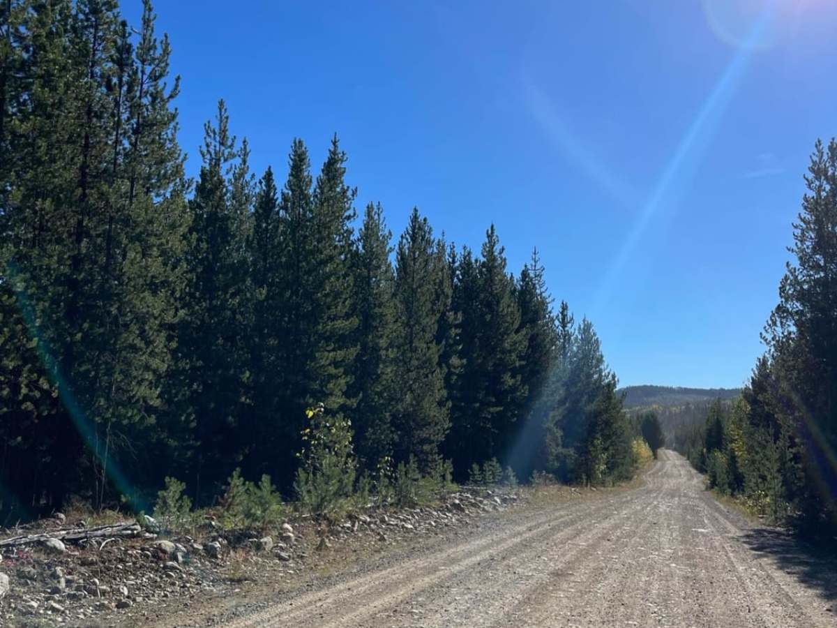 Philpot FSR - Ideal Lake to Highway 33 photo 3