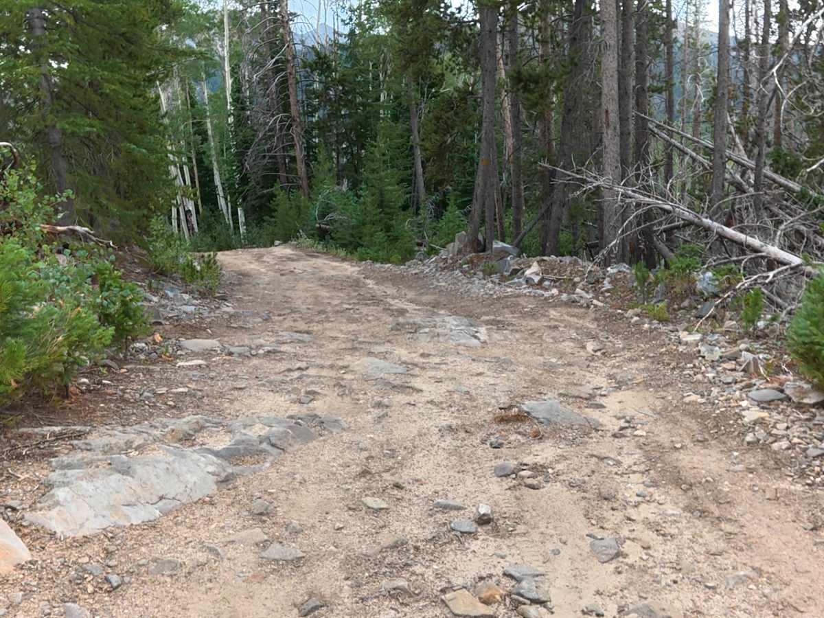 Bockman Road photo 4