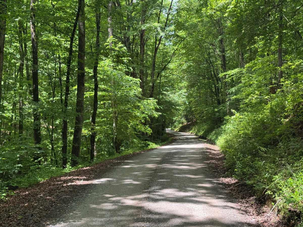 Prospect Road photo 6