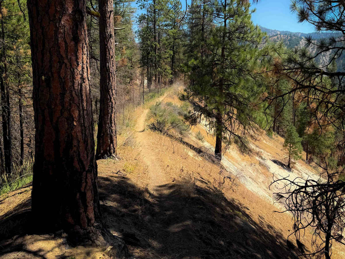 Red Devil Trail #1221 photo 2