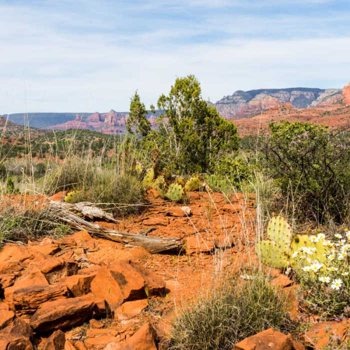 Near Red Rock Loop Hike