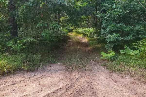 South Branch of Twin Creek Trail