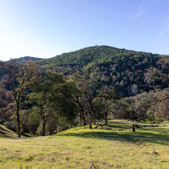 North side of Dry Creek Near Shingle Falls