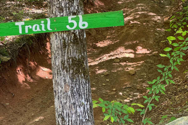 Trail 56