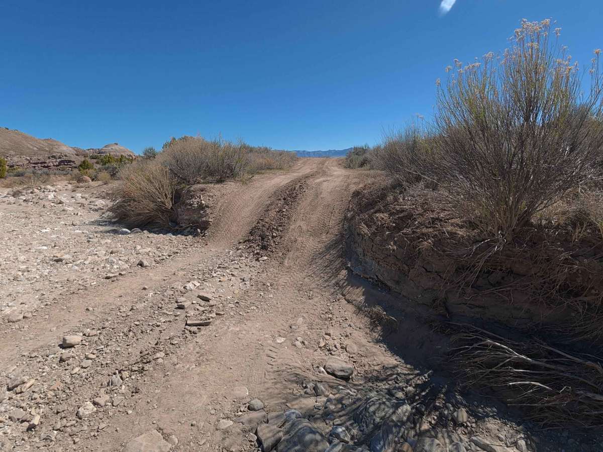 BLM 282 trail photo