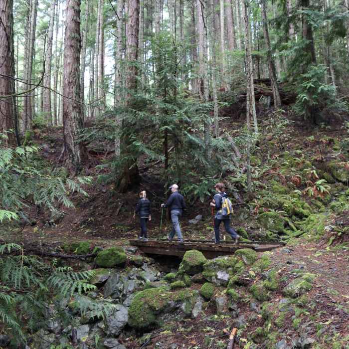 Near Orcas Island: Cold Springs Trail to Mount Constitution Summit