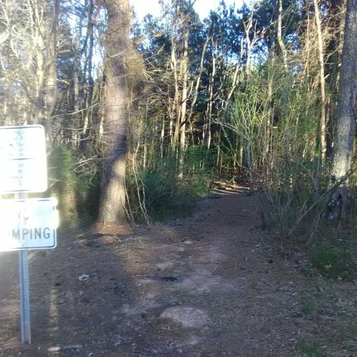 Near Strickland Park Nature Trail