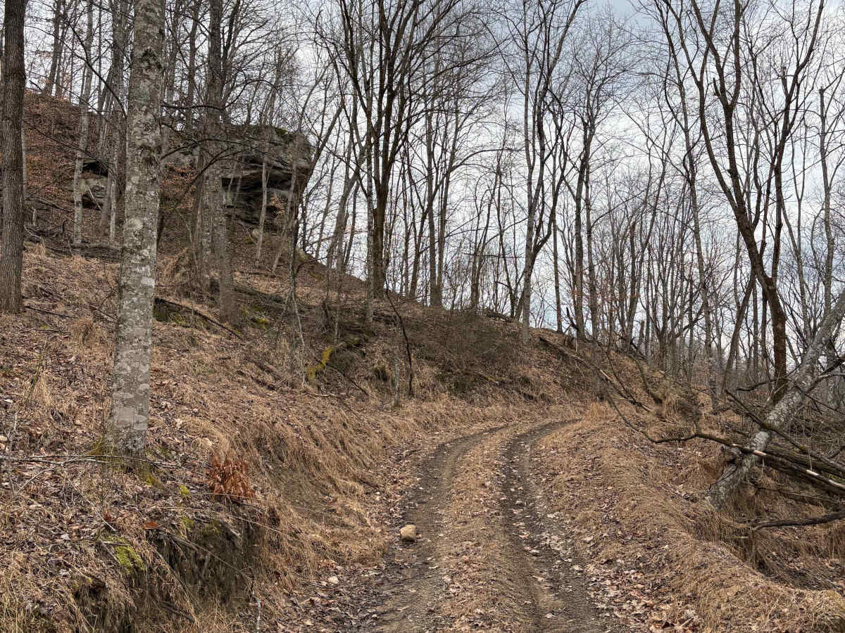 Trail 3 photo 5