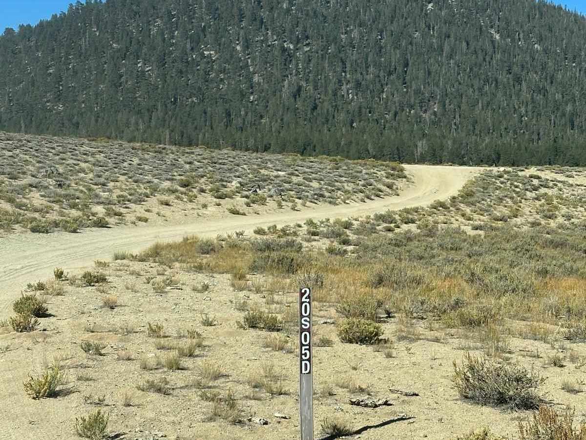 Monache Meadow - 20S05 Loop photo 3