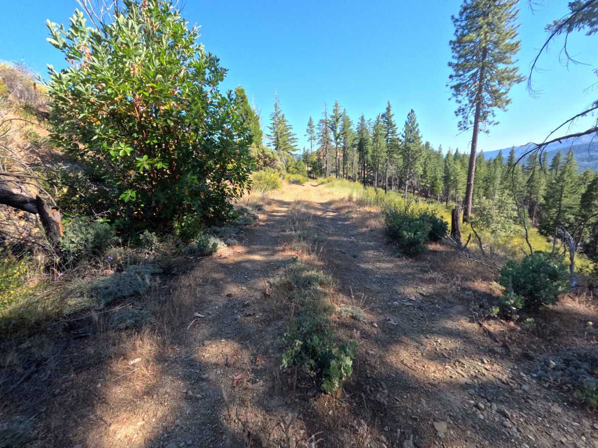 Spanish Ridge - FS 21N39 photo 6