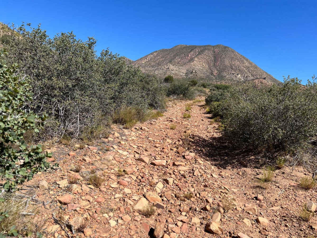 Motoqua - Square Top Mountain trail photo
