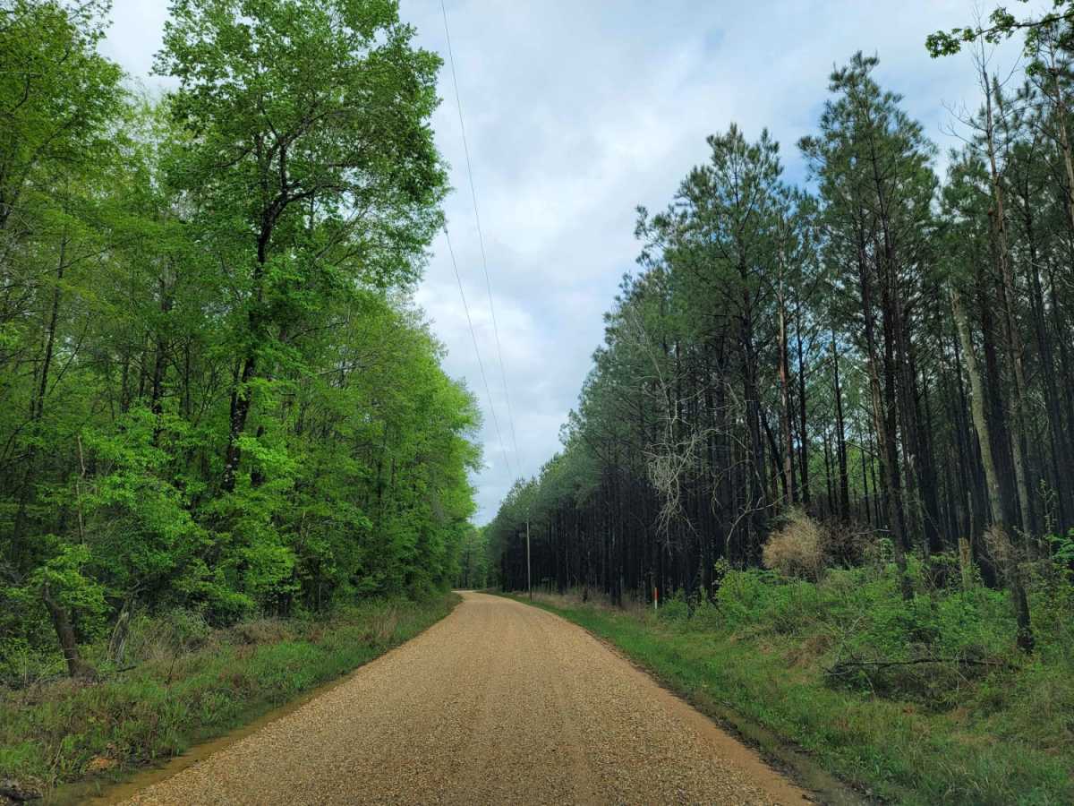 The Arkansas Overland Route - Section 11 - County Road 30 and 32 photo 2