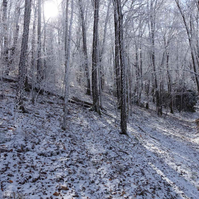 Near Spence Field Loop Near Spence Field Loop
