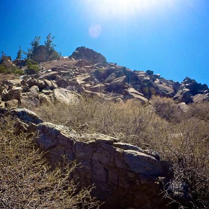 Near North Fork Lockwood Trail
